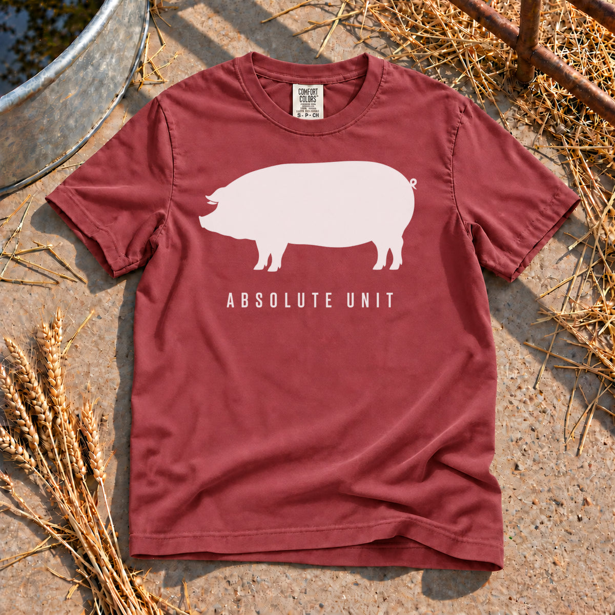 Absolute Unit T-Shirt in Brick