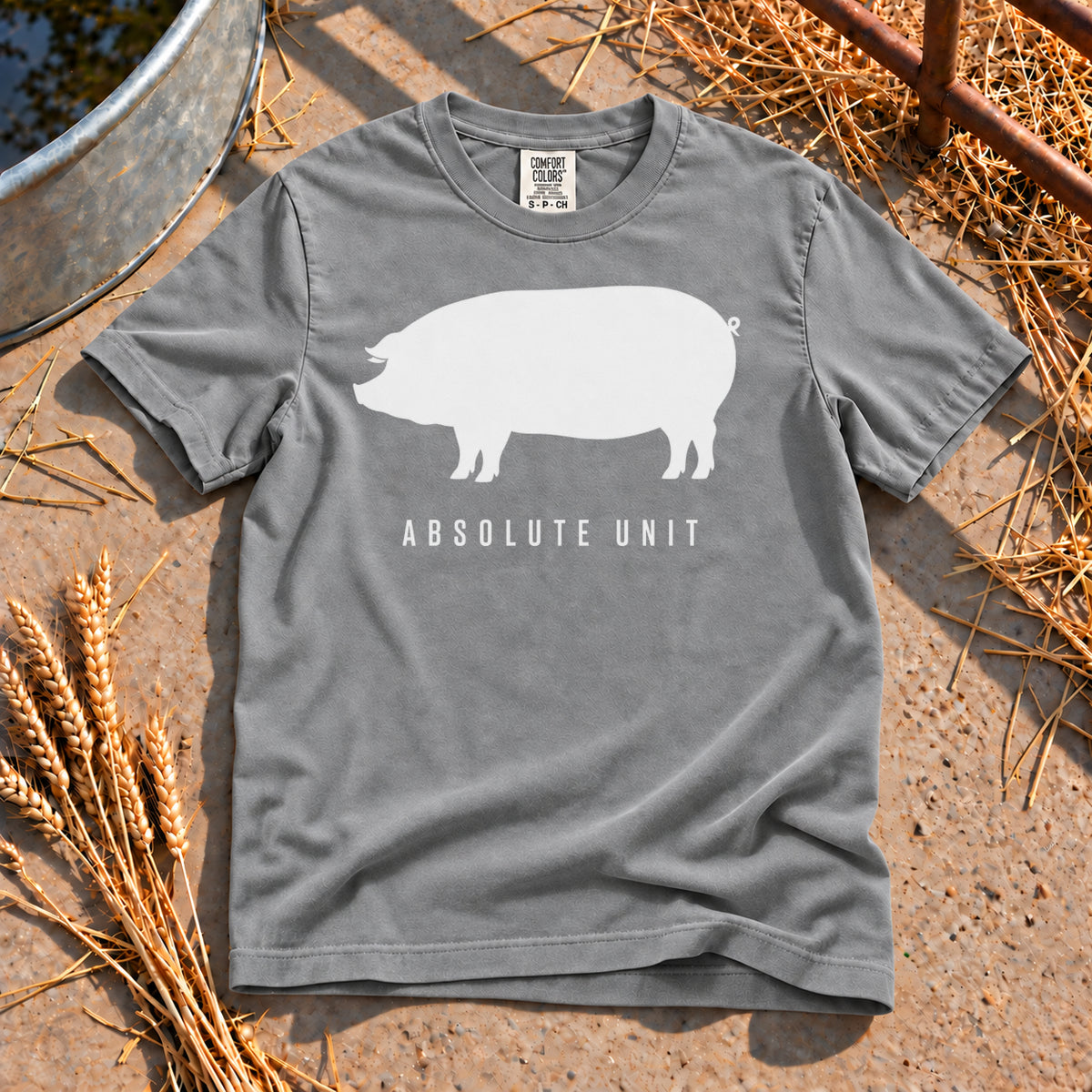 Absolute Unit T-Shirt in Grey