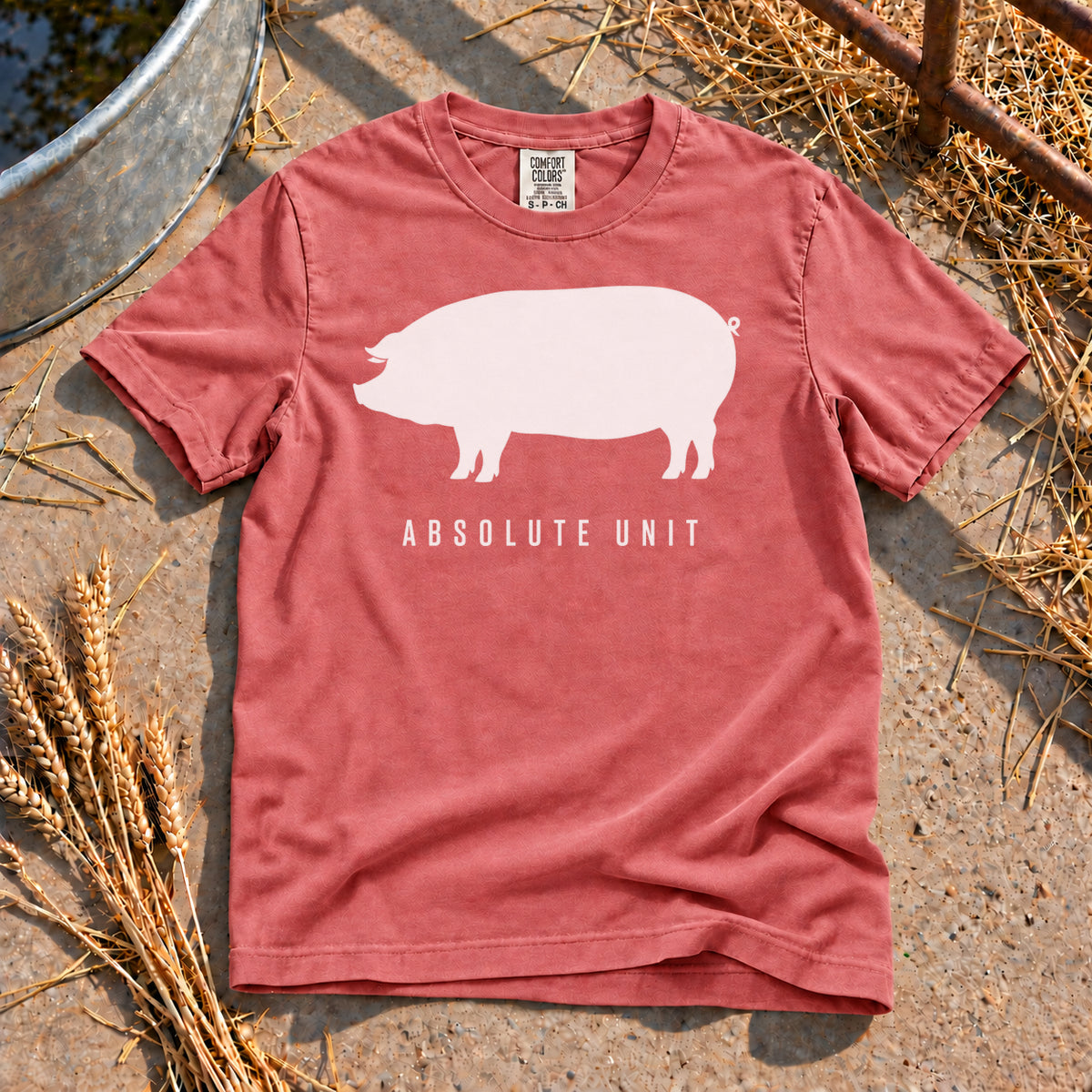 Absolute Unit T-Shirt in Watermelon