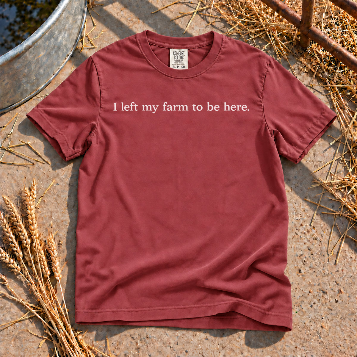 Better Be Good T-Shirt in Brick