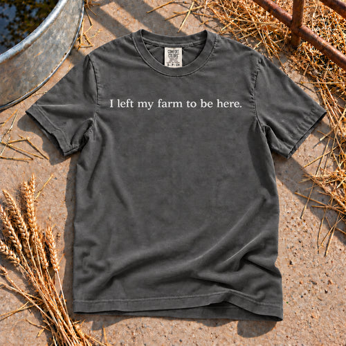 Better Be Good T-Shirt in Pepper