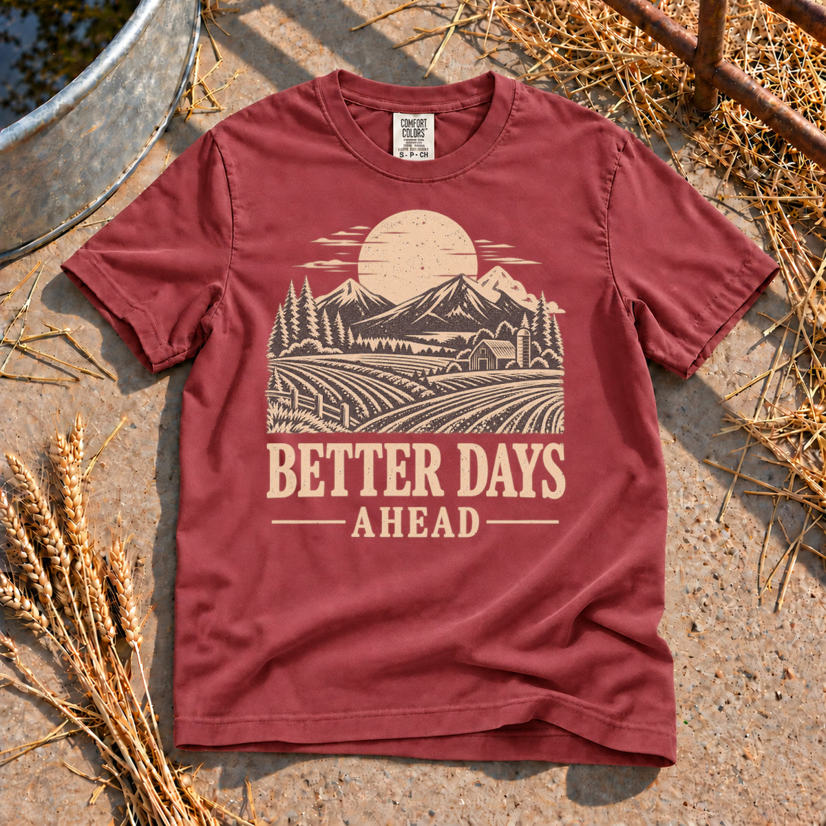 Better Days Ahead T-Shirt in Brick