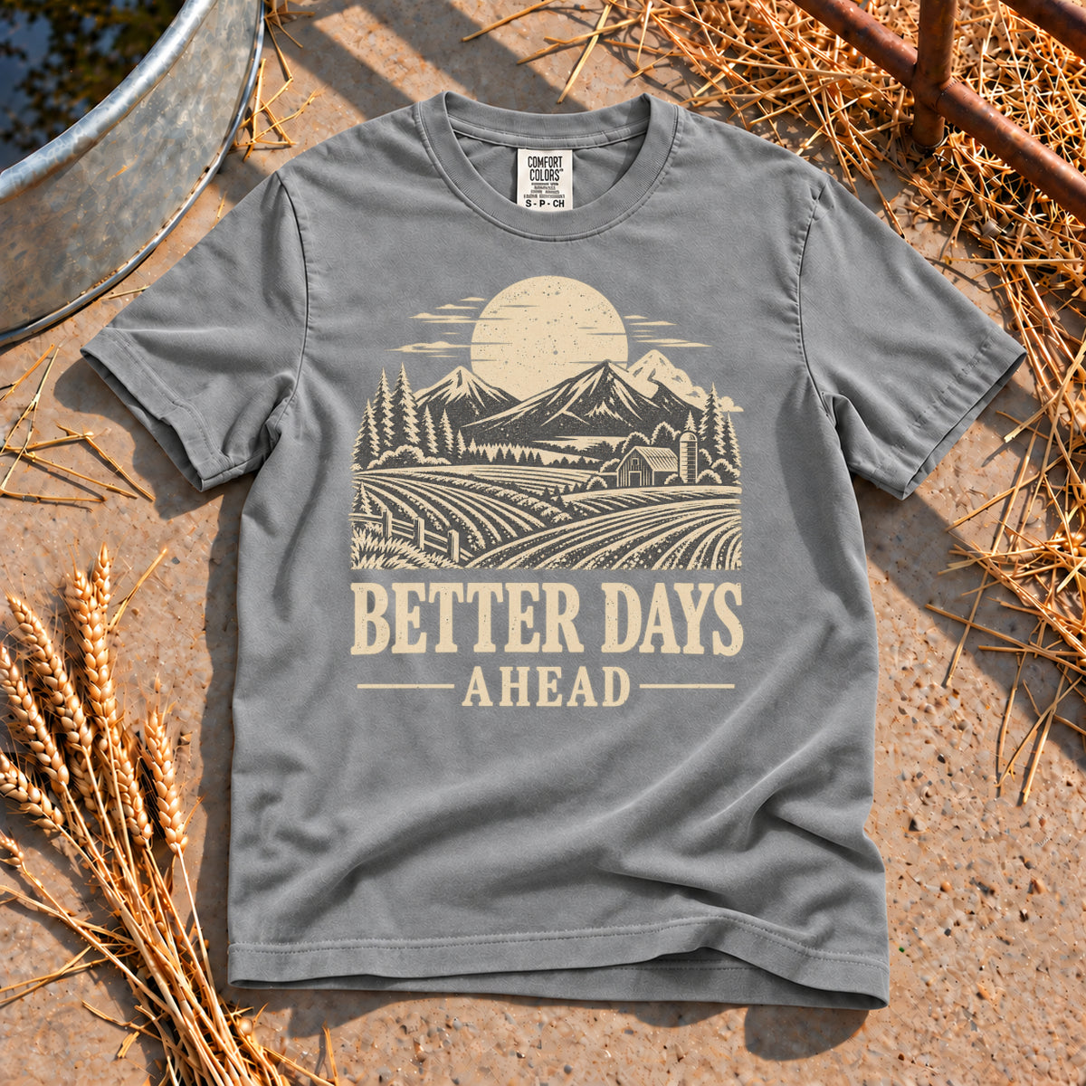 Better Days Ahead T-Shirt in Grey