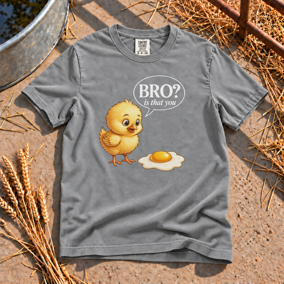 Chick Bro T-Shirt in Grey