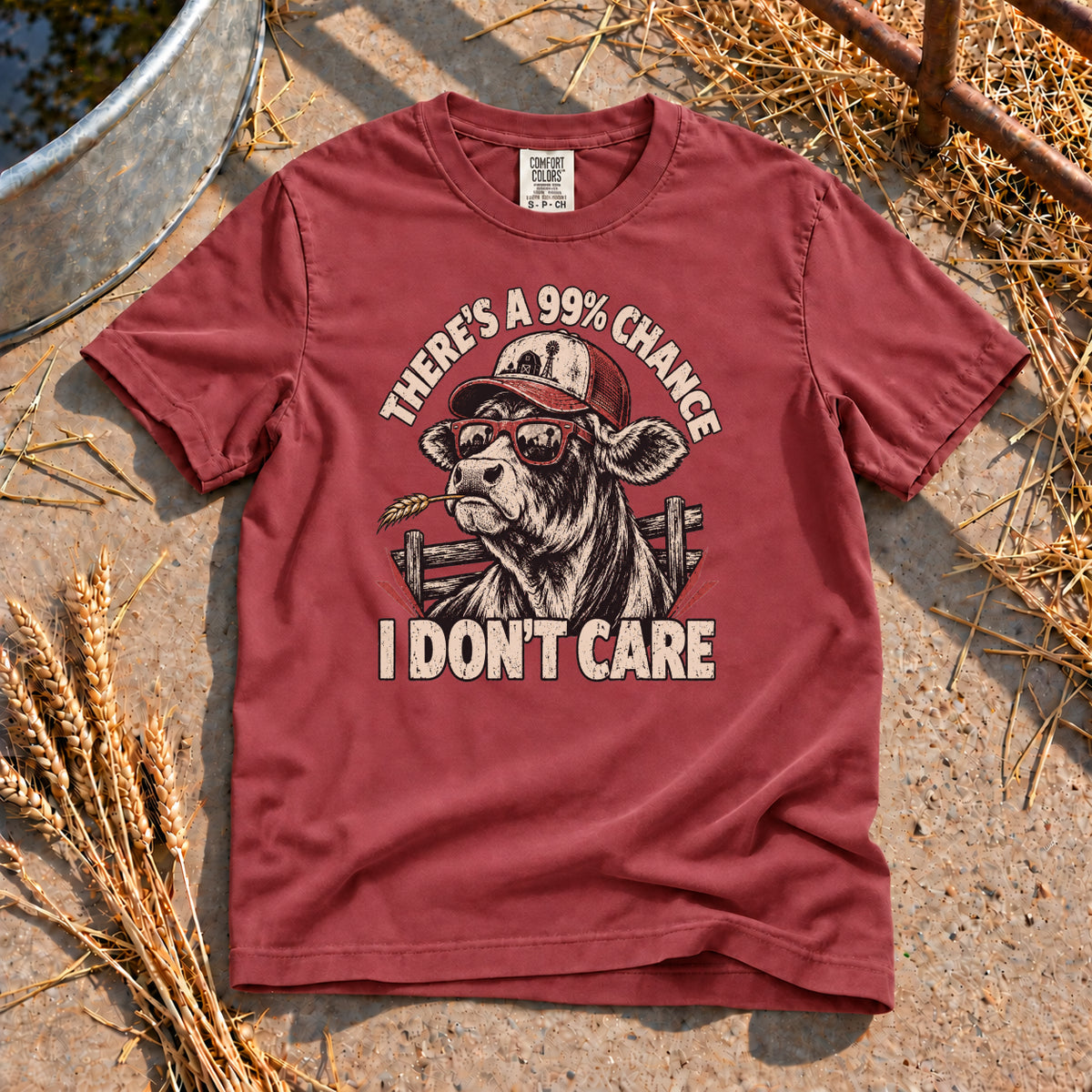 I Don't Care T-Shirt in Brick