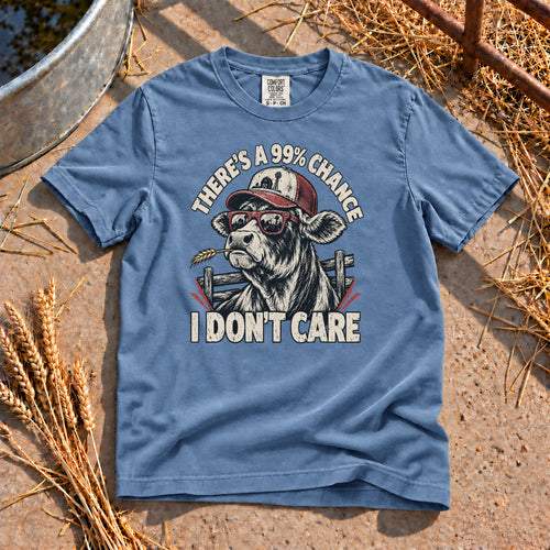 I Don't Care T-Shirt in Blue Jean