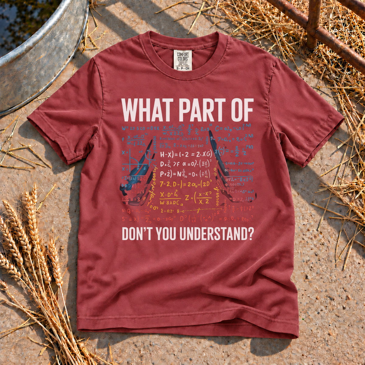 Don't you Understand T-Shirt in Brick