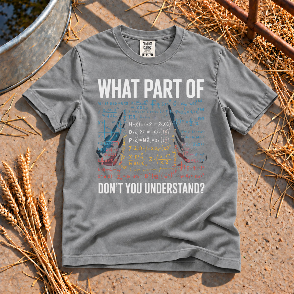 Don't you Understand T-Shirt in Grey