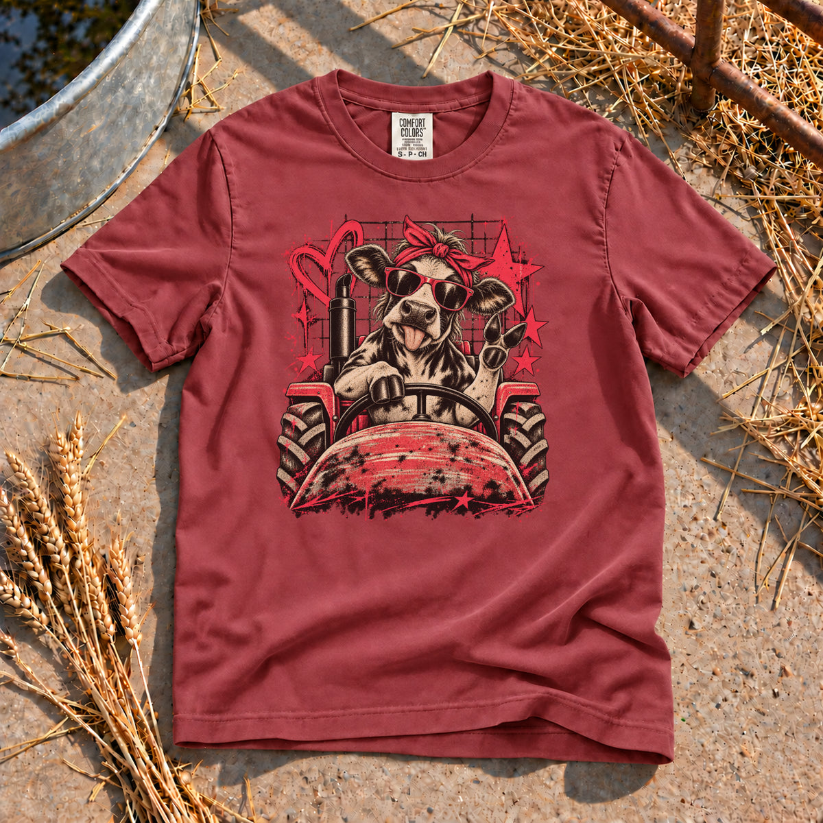 Farm Girl Energy T-Shirt in Brick