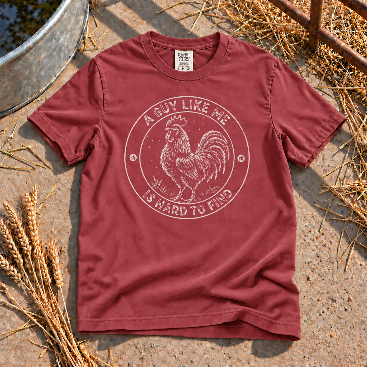 Guy Like Me T-Shirt in Brick