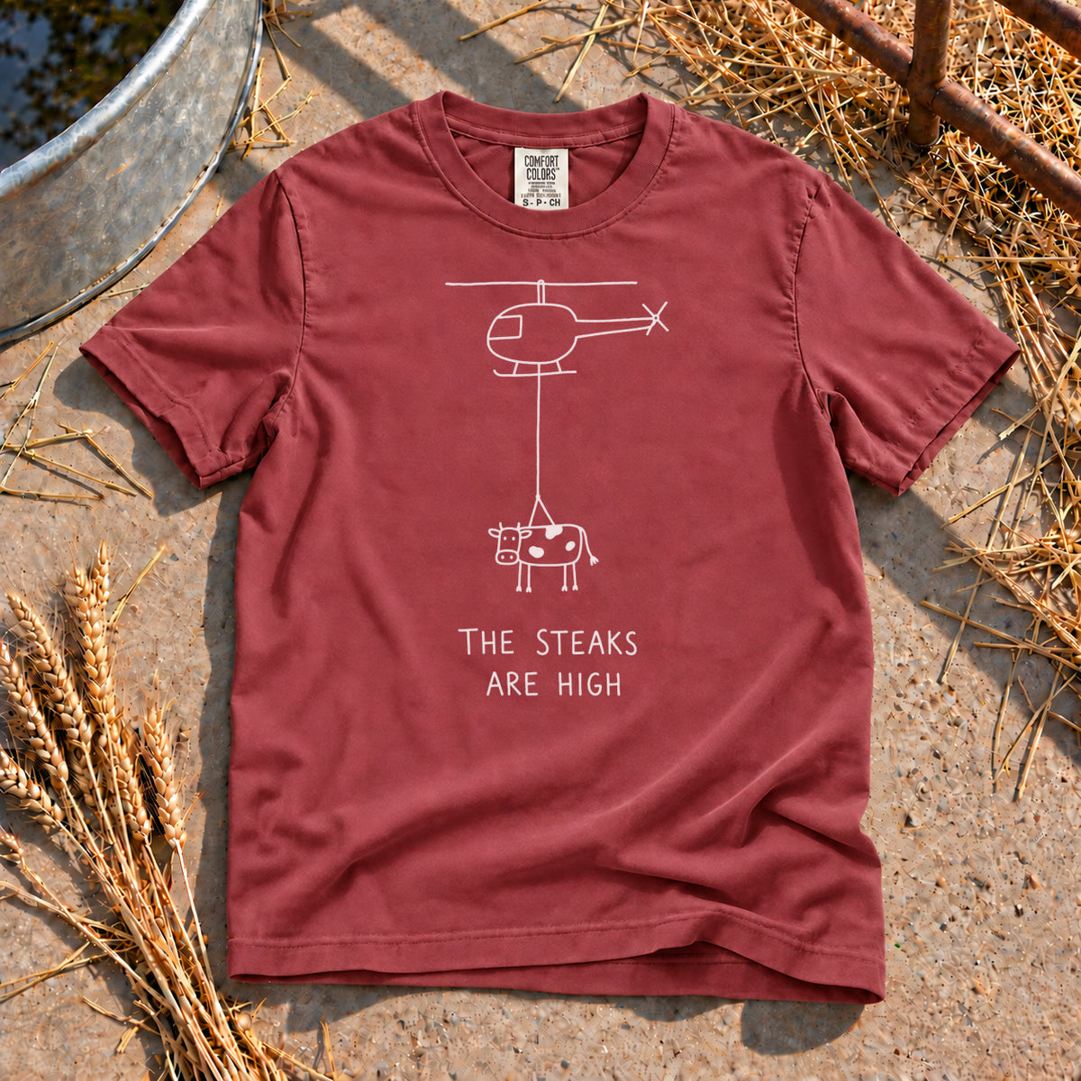 High Steaks T-Shirt in Brick
