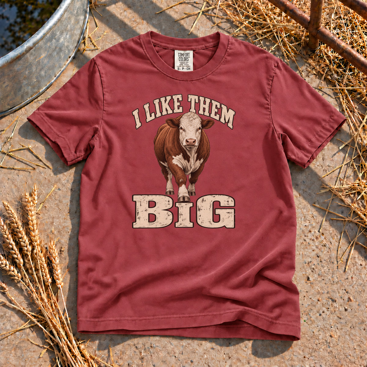 I Like Them Big T-Shirt in Brick