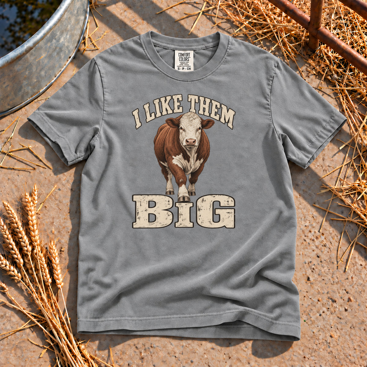 I Like Them Big T-Shirt in Grey