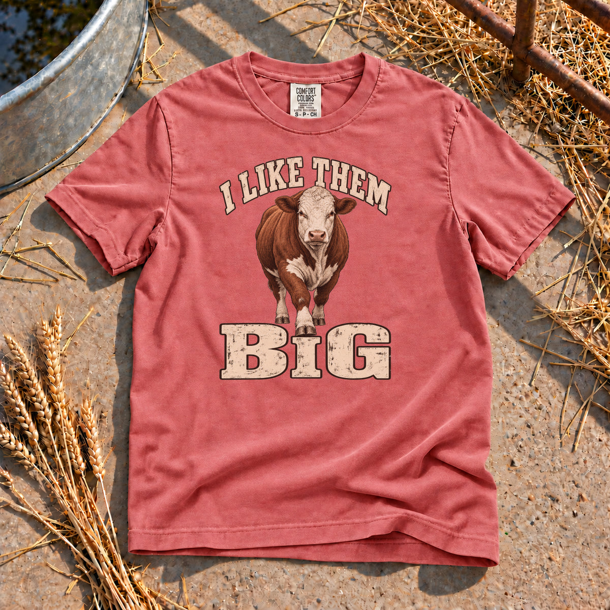 I Like Them Big T-Shirt in Watermelon