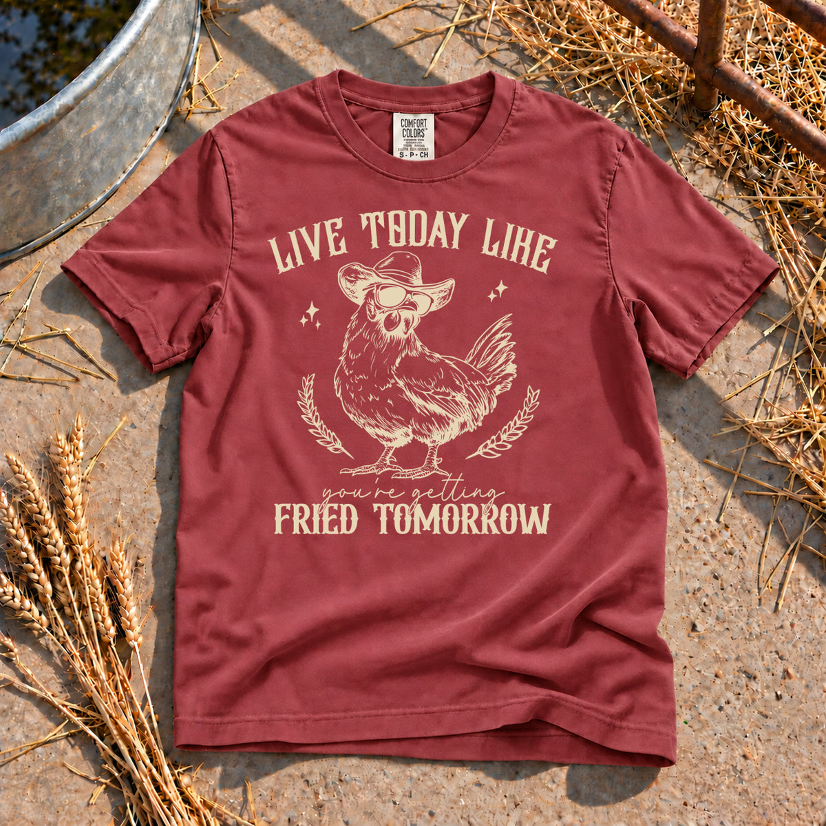Live Today T-Shirt in Brick