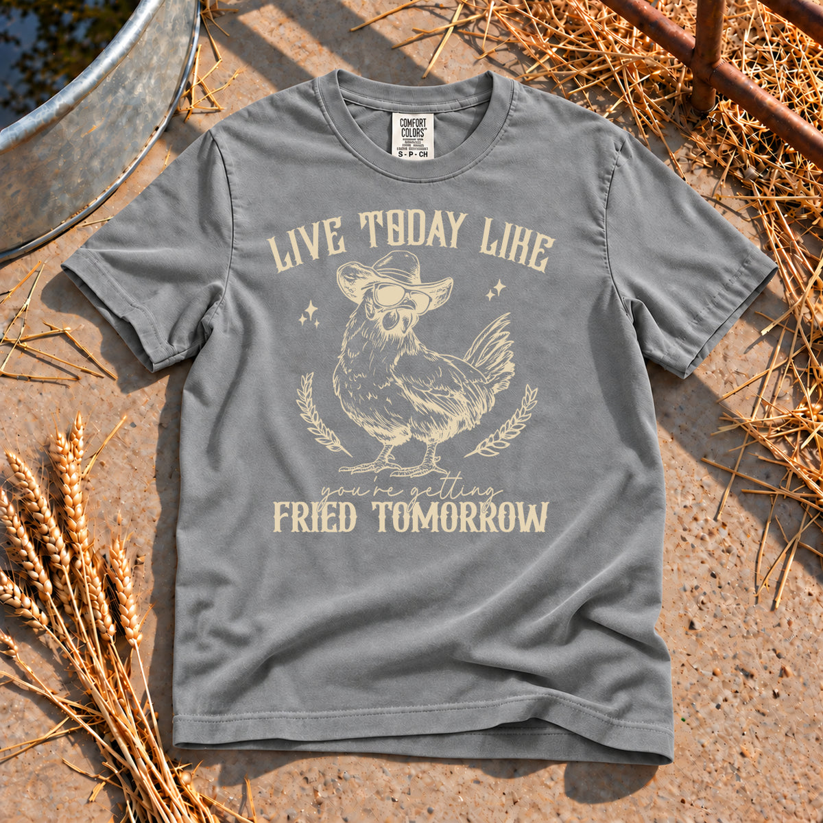 Live Today T-Shirt in Grey