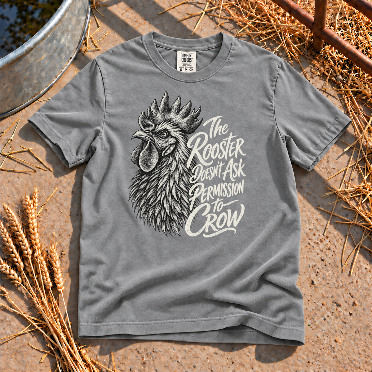 Need No Permission T-Shirt in Grey
