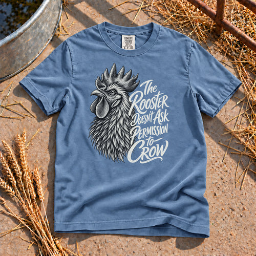 Need No Permission T-Shirt in Blue Jean