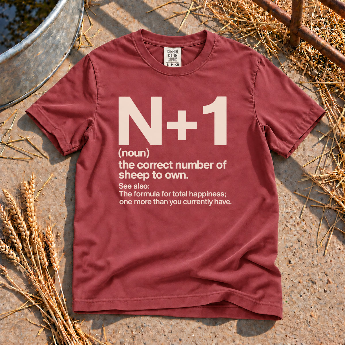 Sheep Math T-Shirt in Brick
