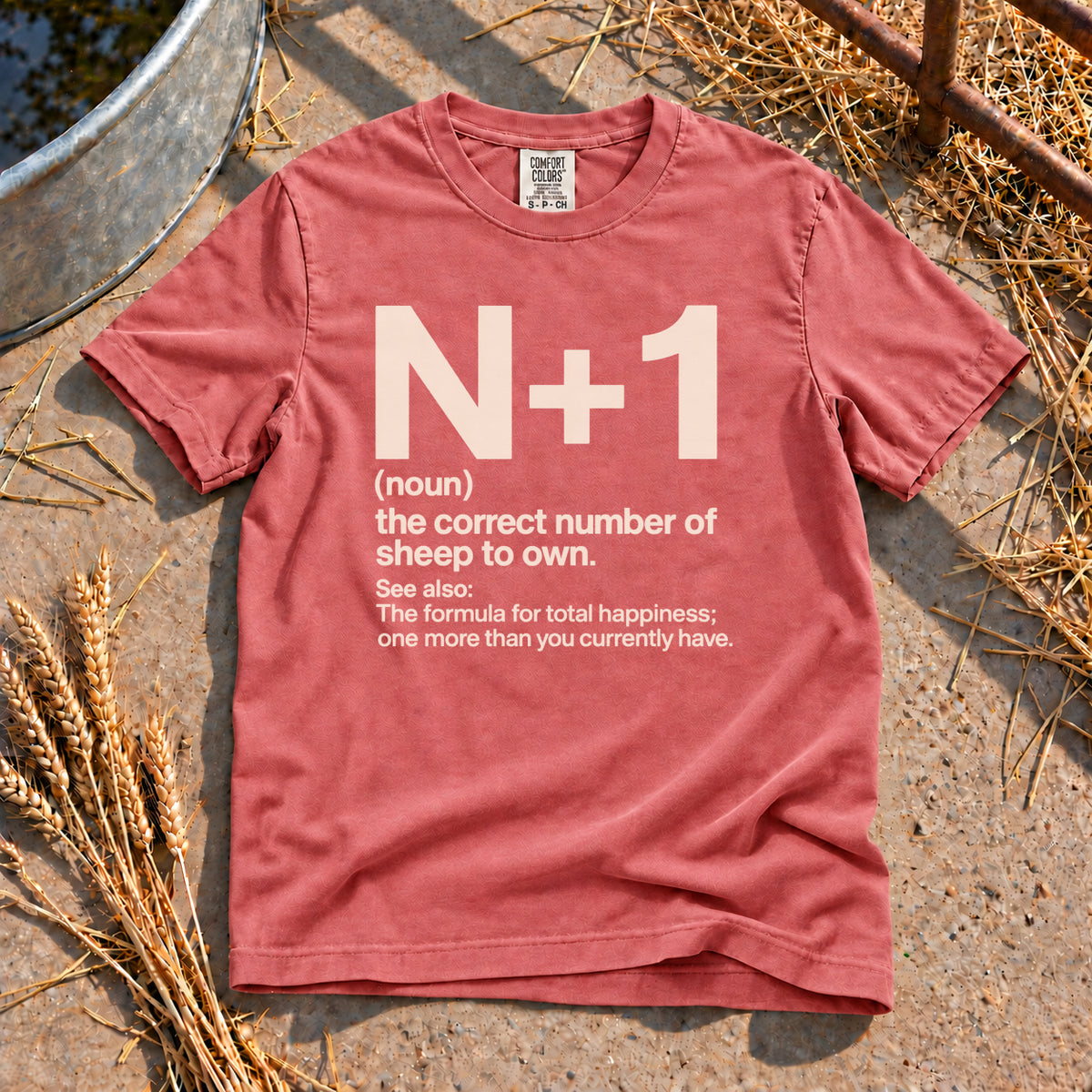 Sheep Math T-Shirt in Watermelon