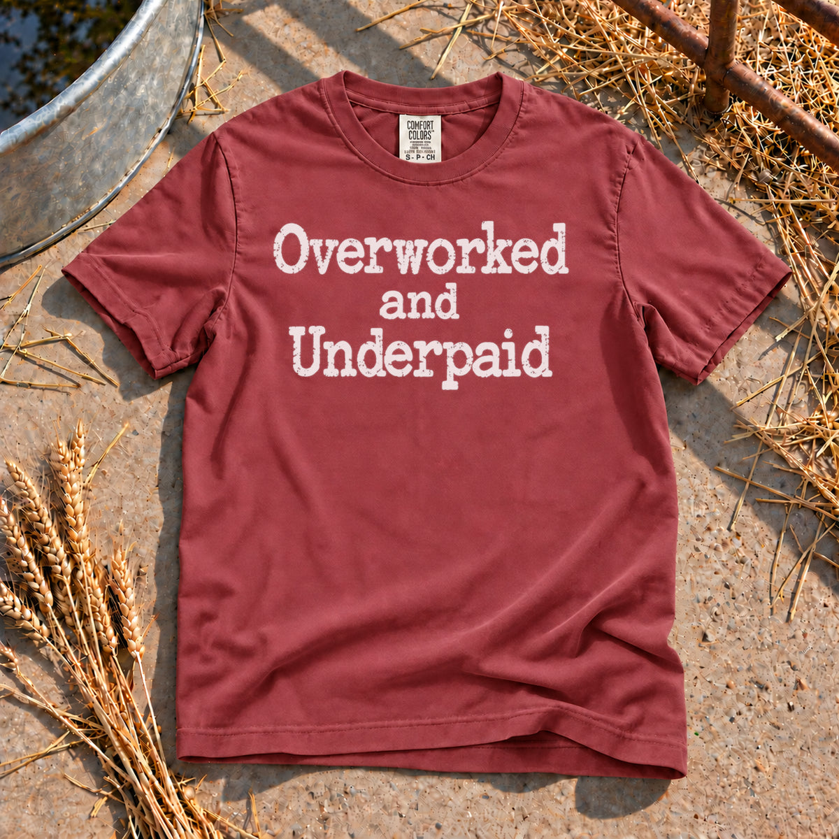 Overworked T-Shirt in Brick