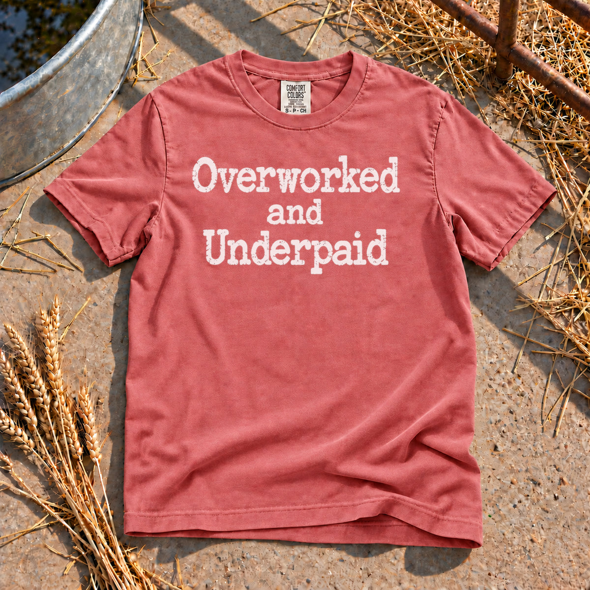 Overworked T-Shirt in Watermelon